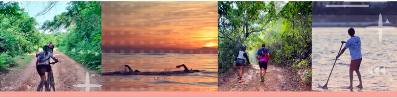 Equipos Convocatoria Nado por las Ballenas