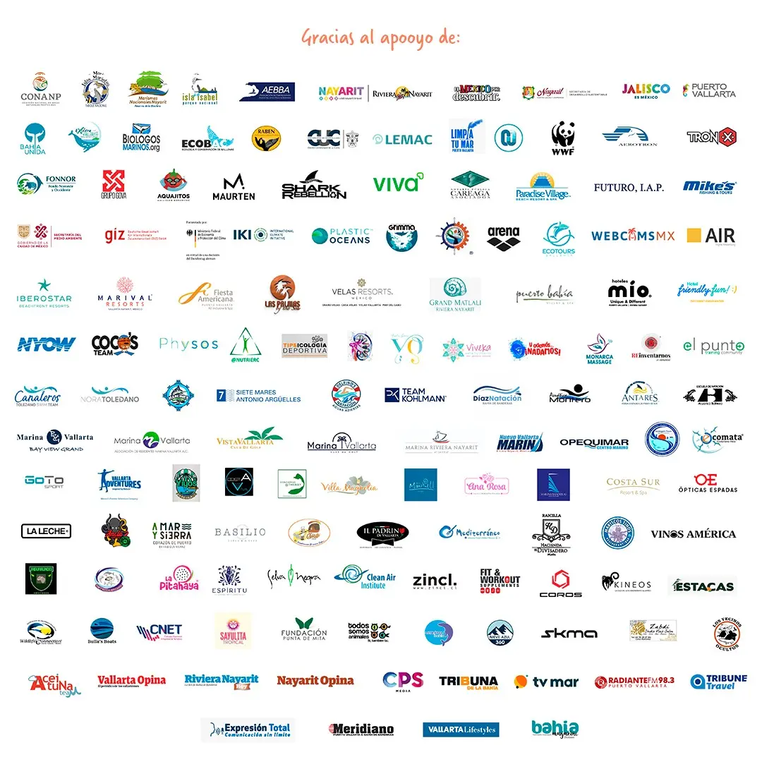 organizaciones que apoyan