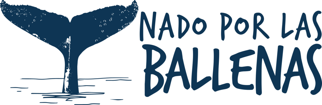 Nado por las ballenas